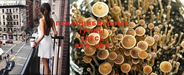 твердый Семёнов